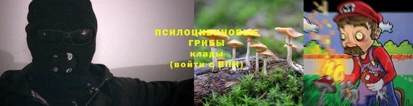 стаф Арсеньев