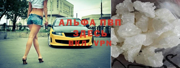 стаф Арсеньев